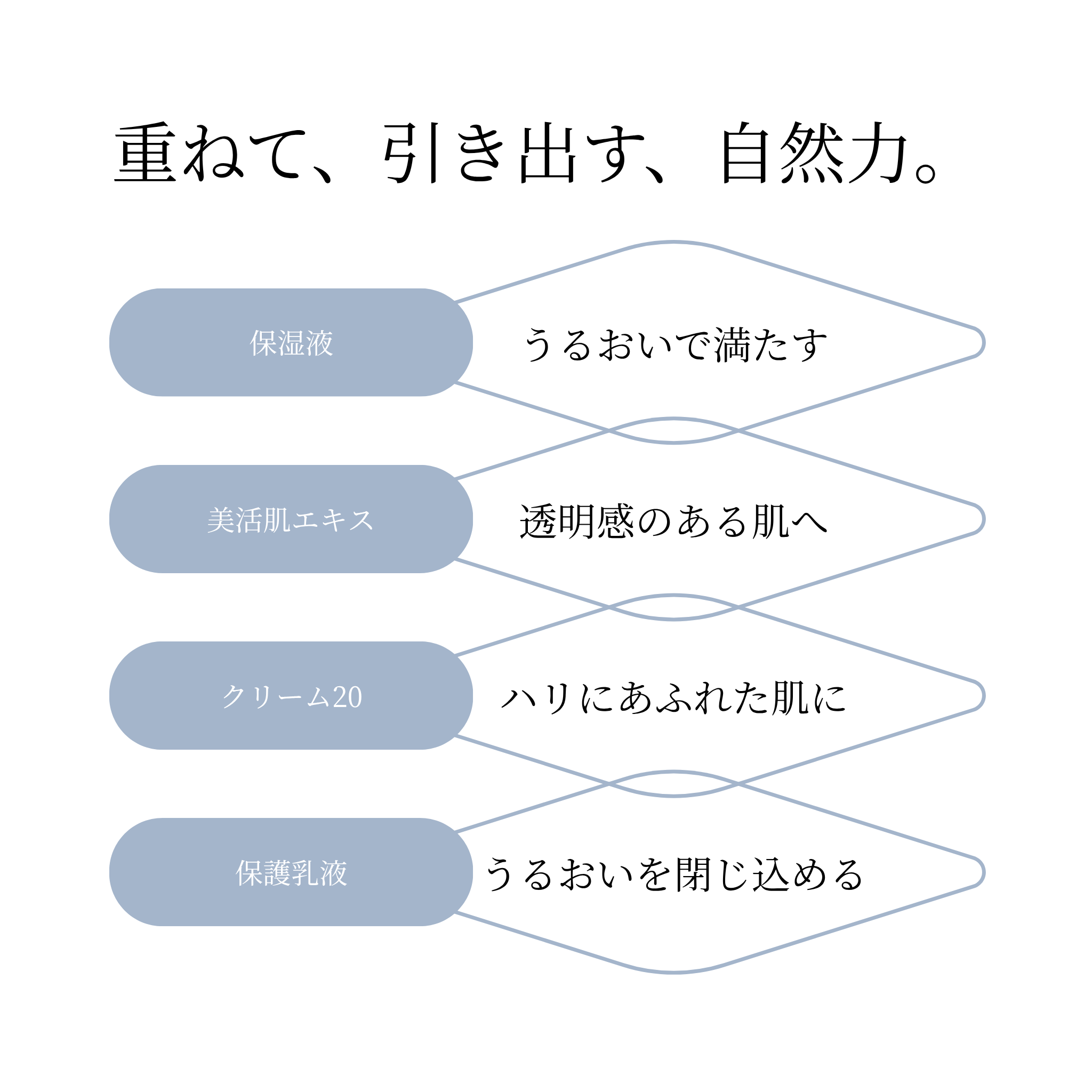 基本4点