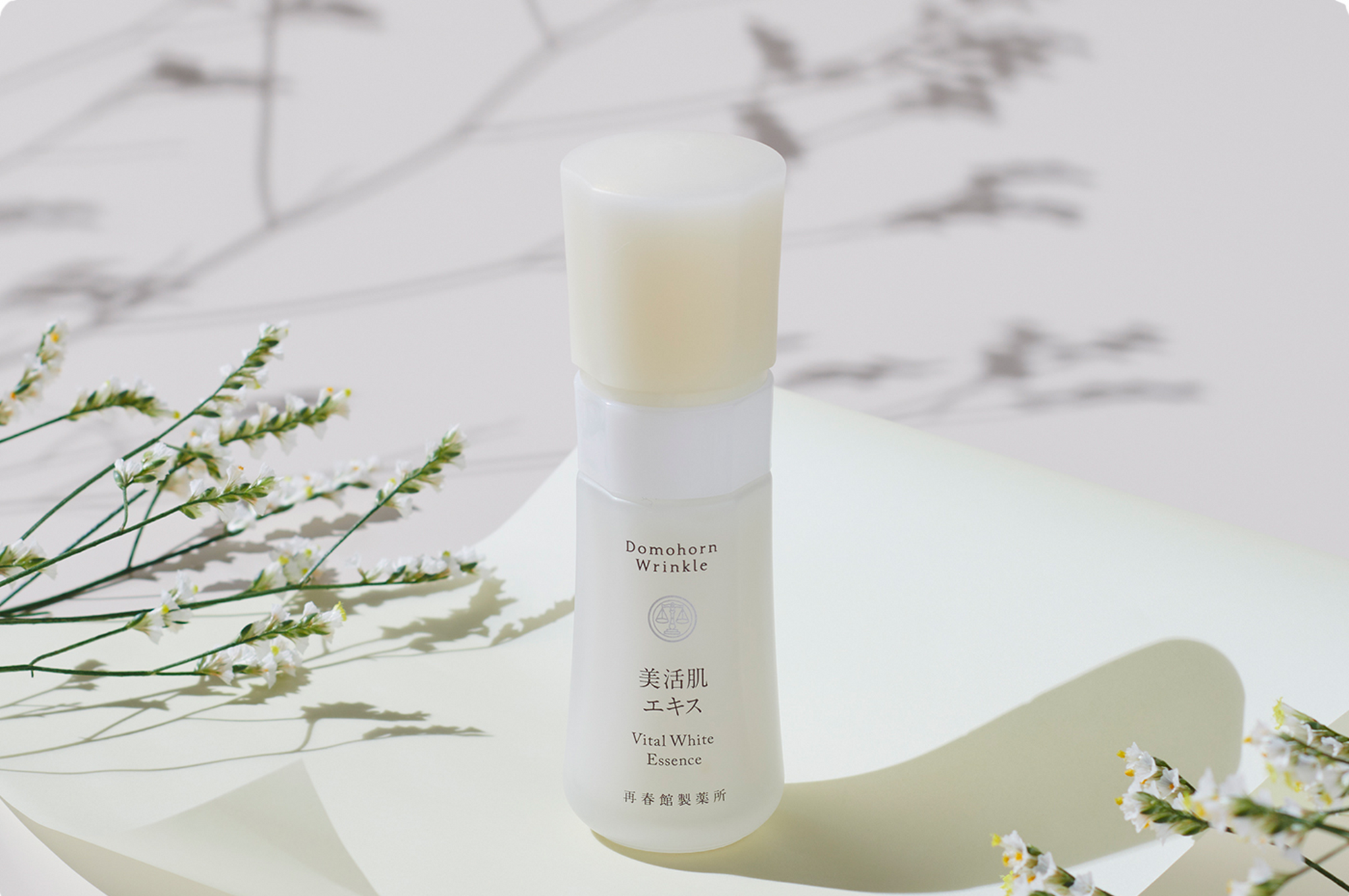 Renewal of the Essential 4 – Domohorn Wrinkle Global Renewal of the Essential 4 – Domohorn Wrinkle Global